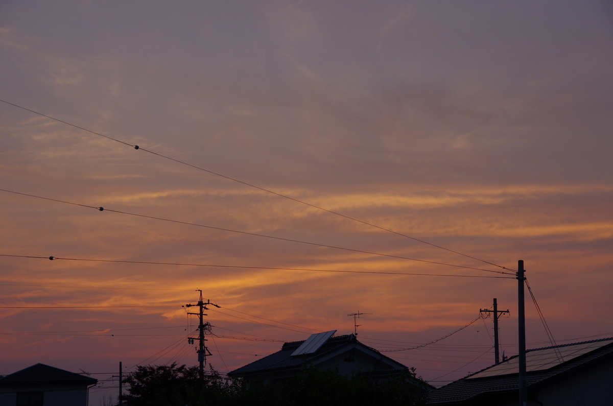 f:id:Rayleonard-00:20210117182921j:plain