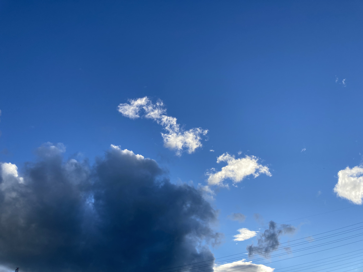 f:id:Rayleonard-00:20211216212514j:plain