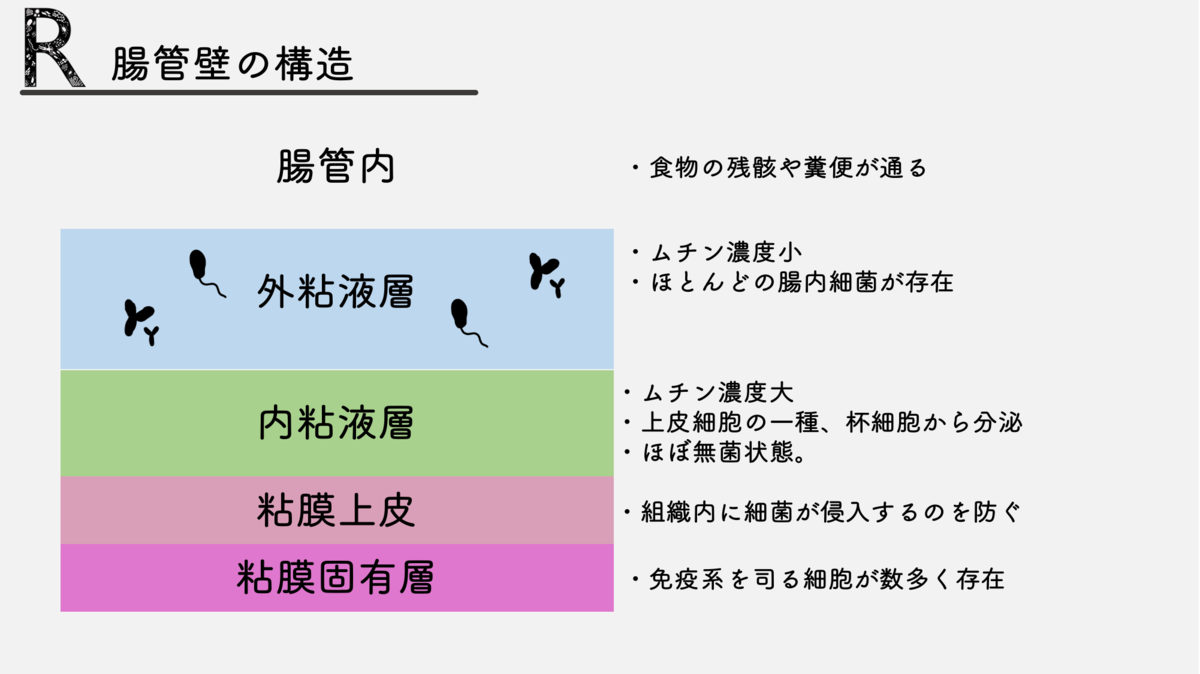 f:id:ReK2Science:20210811123153p:plain