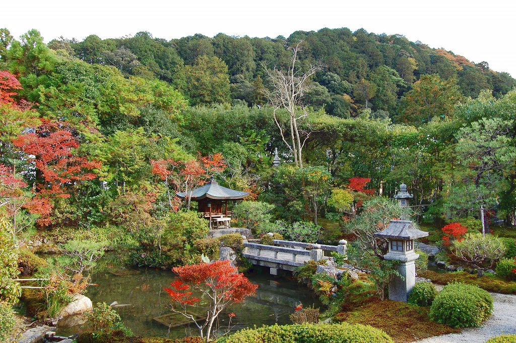 庭園２９ 南禅寺塔頭南陽院 植治の枯山水庭園 京都フォトログ