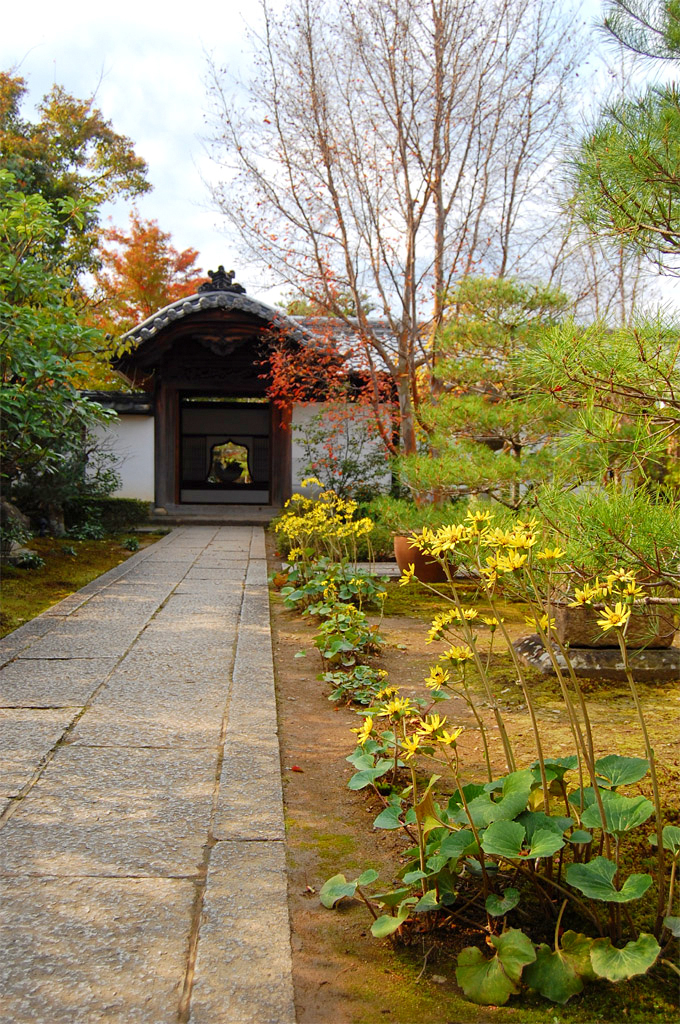 f:id:ReMIST:20190910155051j:plain f:id:ReMIST:20190910155051j:plain