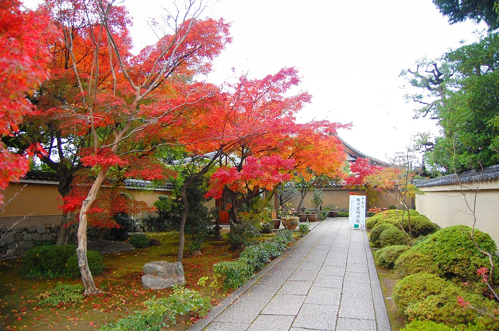 f:id:ReMIST:20190910172436j:plain f:id:ReMIST:20190910172436j:plain