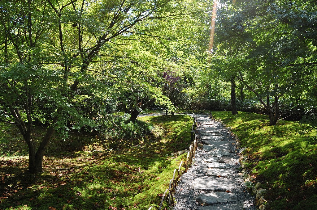 f:id:ReMIST:20190914234634j:plain f:id:ReMIST:20190914234634j:plain