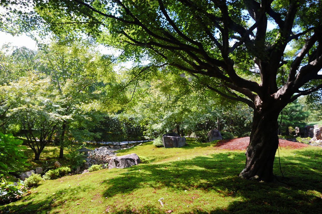 f:id:ReMIST:20190914235055j:plain f:id:ReMIST:20190914235055j:plain