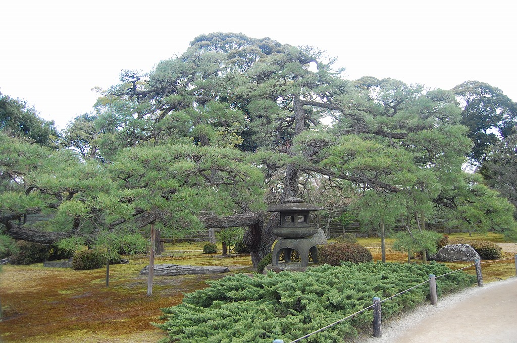 f:id:ReMIST:20190918110428j:plain f:id:ReMIST:20190918110428j:plain