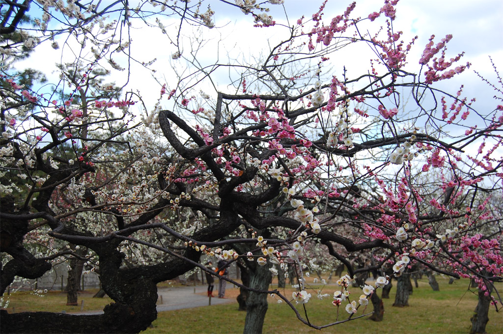 f:id:ReMIST:20190918132730j:plain f:id:ReMIST:20190918132730j:plain