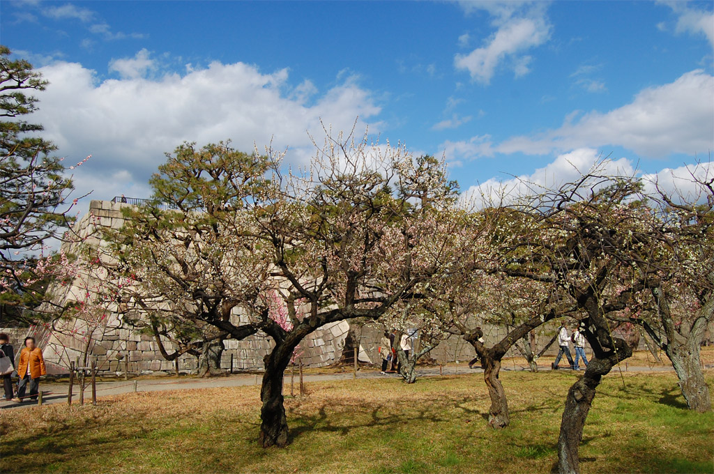 f:id:ReMIST:20190918132751j:plain f:id:ReMIST:20190918132751j:plain