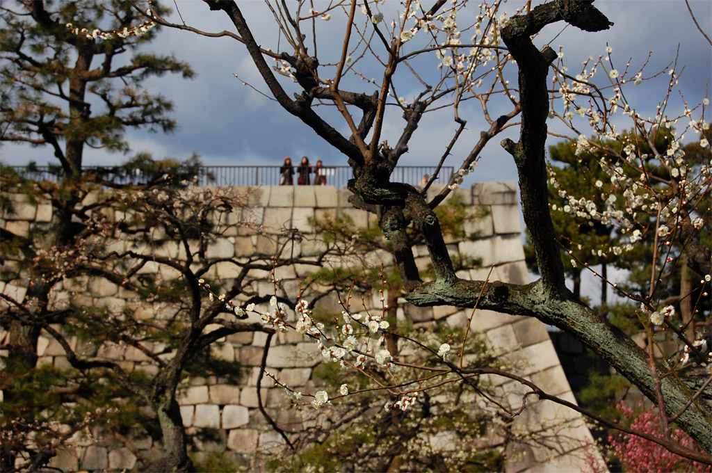 f:id:ReMIST:20190918132916j:plain f:id:ReMIST:20190918132916j:plain