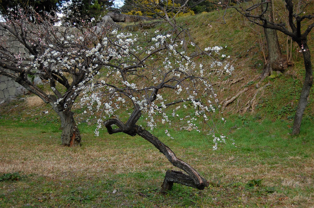 f:id:ReMIST:20190918133014j:plain f:id:ReMIST:20190918133014j:plain