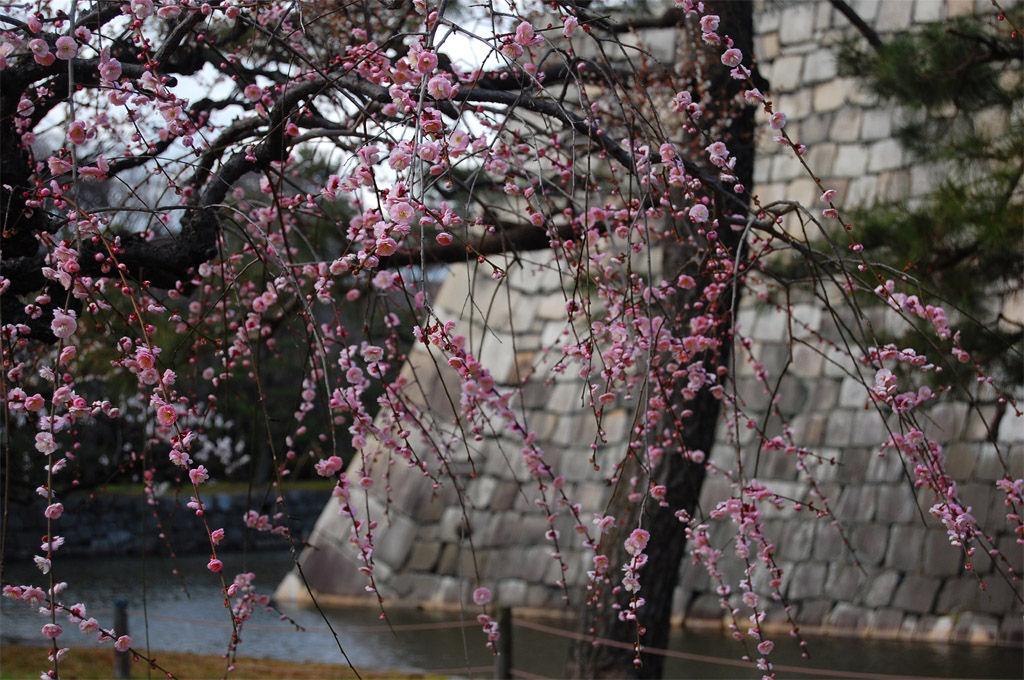 f:id:ReMIST:20190918133050j:plain f:id:ReMIST:20190918133050j:plain