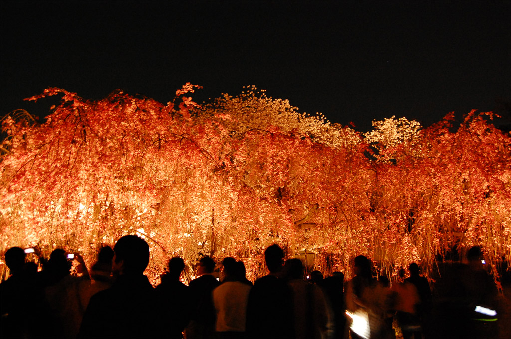 f:id:ReMIST:20190918134120j:plain f:id:ReMIST:20190918134120j:plain