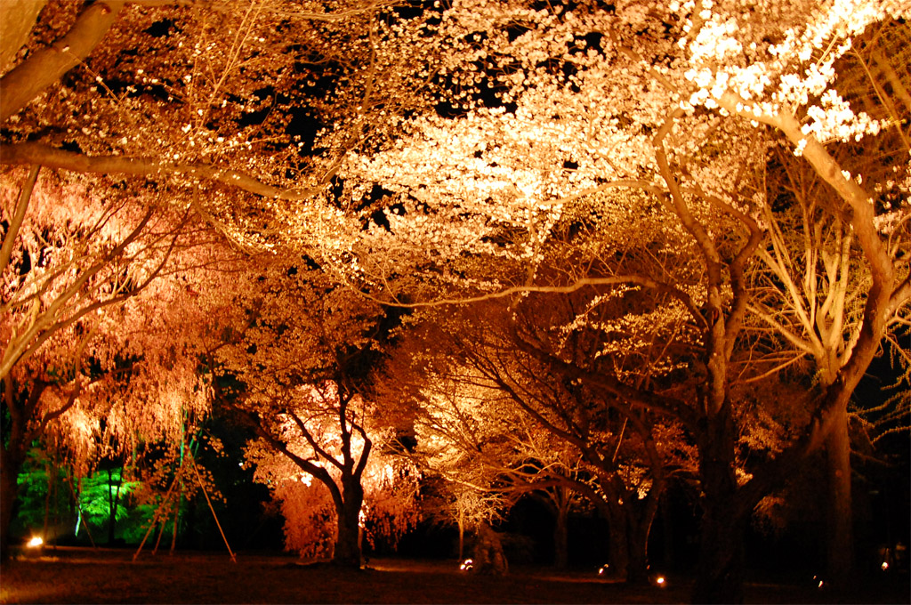 f:id:ReMIST:20190918134143j:plain f:id:ReMIST:20190918134143j:plain