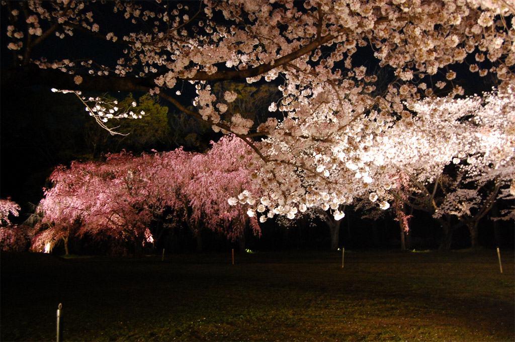 f:id:ReMIST:20190918134204j:plain f:id:ReMIST:20190918134204j:plain