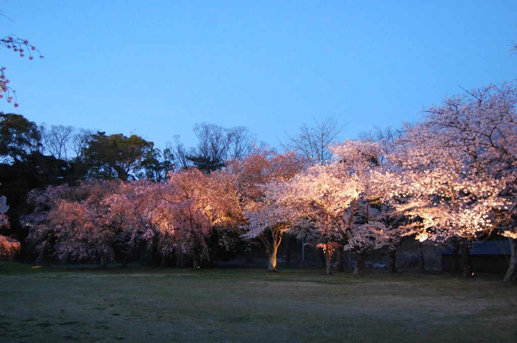 f:id:ReMIST:20190918134931j:plain f:id:ReMIST:20190918134931j:plain