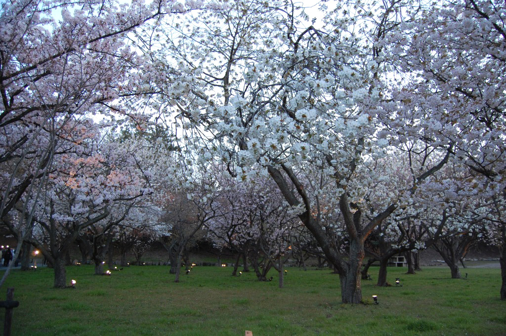 f:id:ReMIST:20190918135104j:plain f:id:ReMIST:20190918135104j:plain