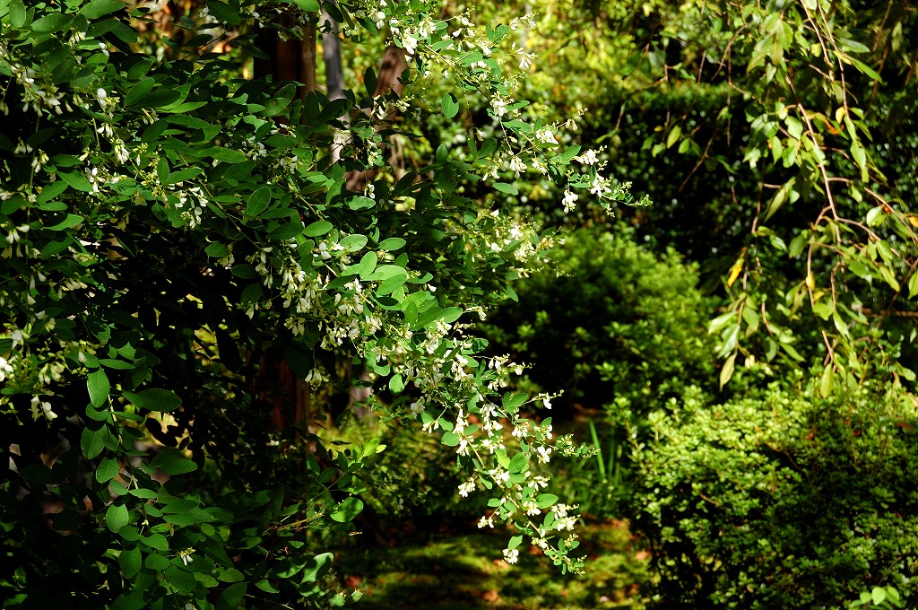 f:id:ReMIST:20190919214908j:plain f:id:ReMIST:20190919214908j:plain