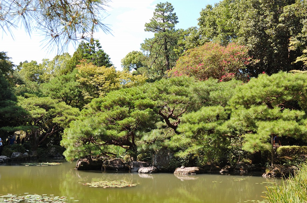 f:id:ReMIST:20190919215324j:plain f:id:ReMIST:20190919215324j:plain