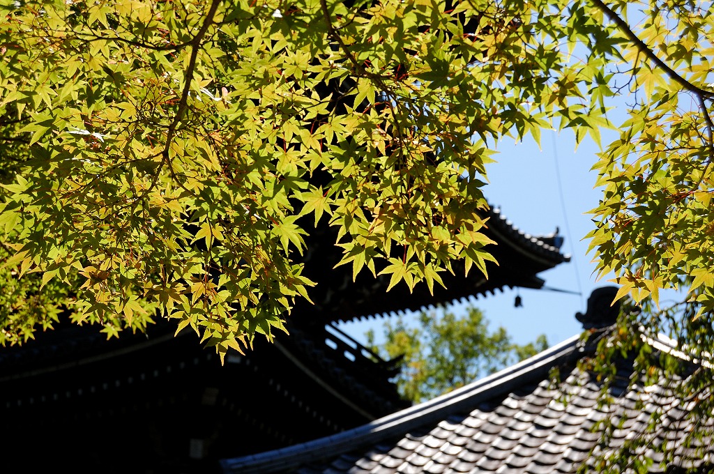 f:id:ReMIST:20190919220506j:plain f:id:ReMIST:20190919220506j:plain