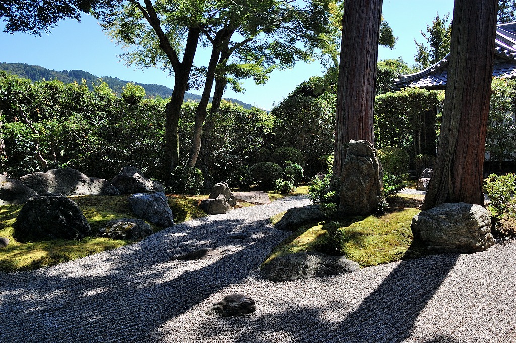 f:id:ReMIST:20190919220911j:plain f:id:ReMIST:20190919220911j:plain