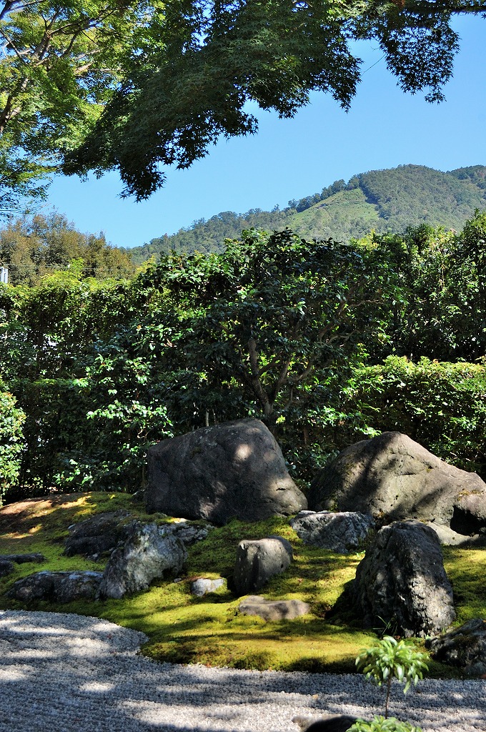 f:id:ReMIST:20190919221000j:plain f:id:ReMIST:20190919221000j:plain