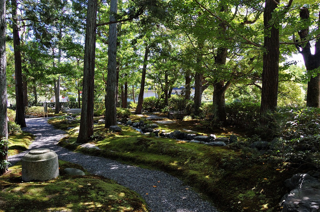 f:id:ReMIST:20190919223338j:plain f:id:ReMIST:20190919223338j:plain