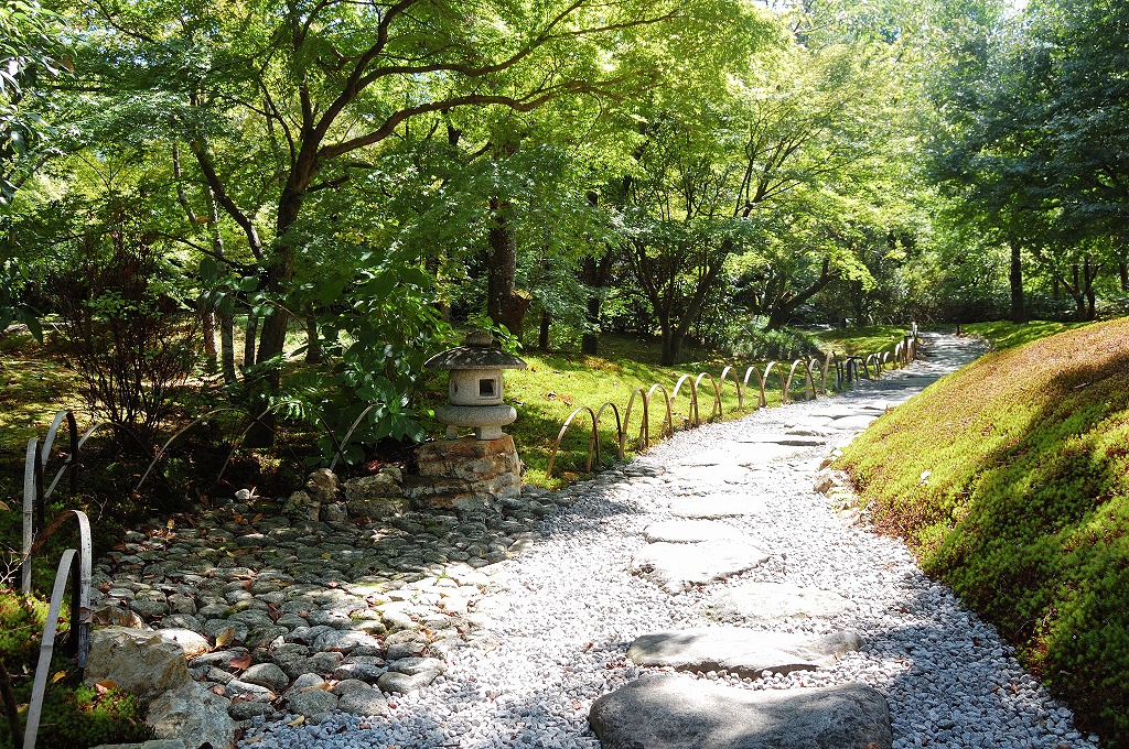 f:id:ReMIST:20190928171818j:plain f:id:ReMIST:20190928171818j:plain