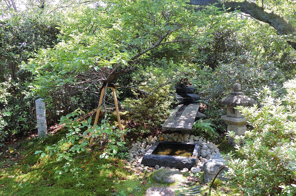 f:id:ReMIST:20190928172017j:plain f:id:ReMIST:20190928172017j:plain