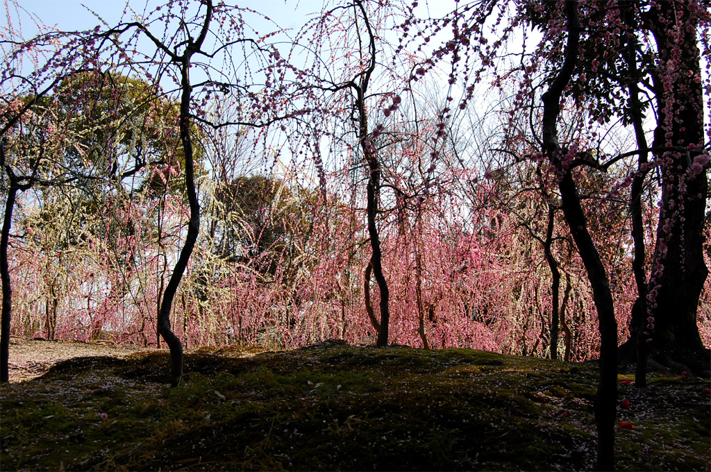 f:id:ReMIST:20191004204145j:plain f:id:ReMIST:20191004204145j:plain