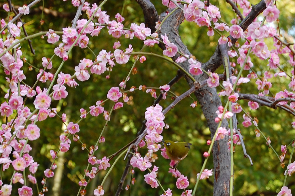 f:id:ReMIST:20191004204534j:plain f:id:ReMIST:20191004204534j:plain