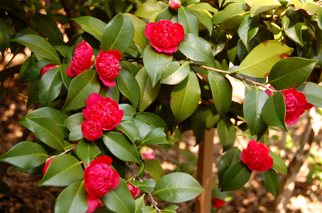 f:id:ReMIST:20191004205015j:plain f:id:ReMIST:20191004205015j:plain