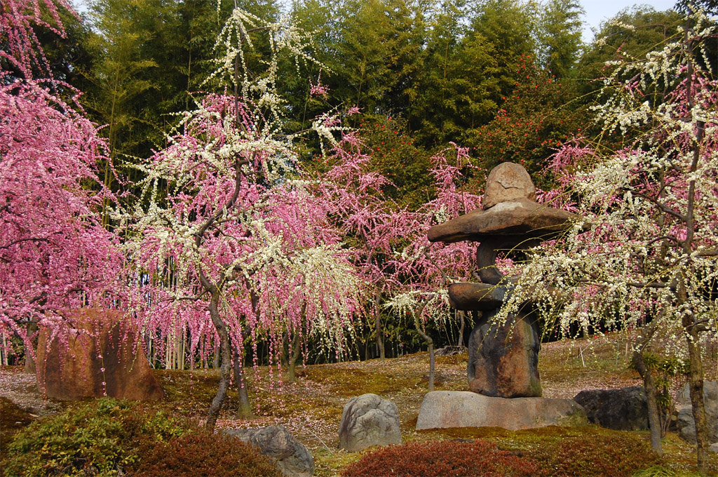 f:id:ReMIST:20191004213100j:plain f:id:ReMIST:20191004213100j:plain