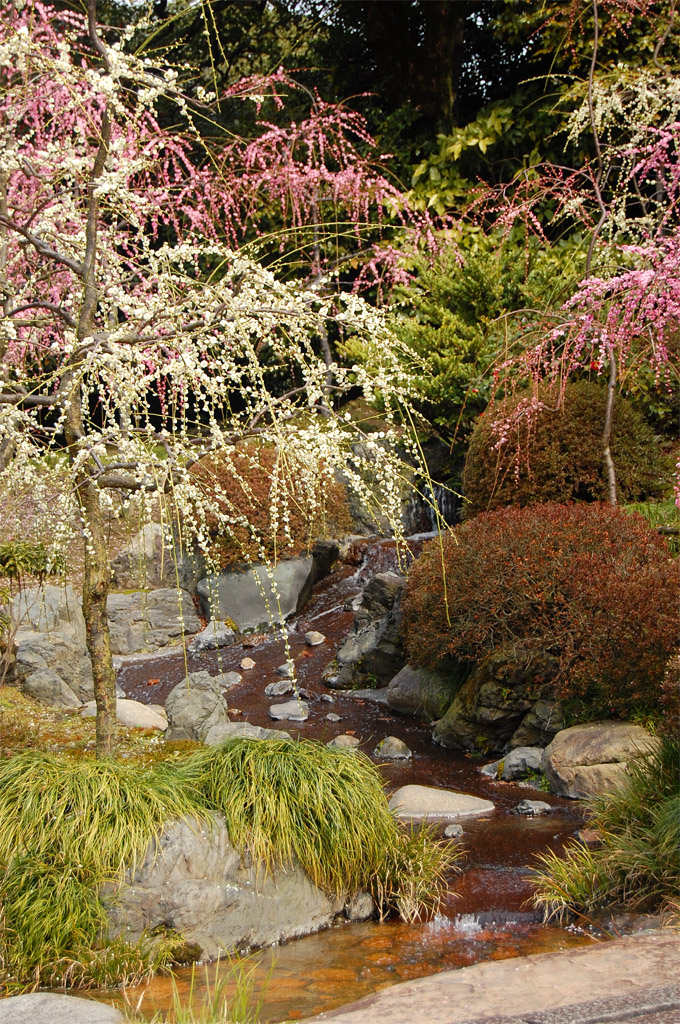 f:id:ReMIST:20191004213307j:plain f:id:ReMIST:20191004213307j:plain