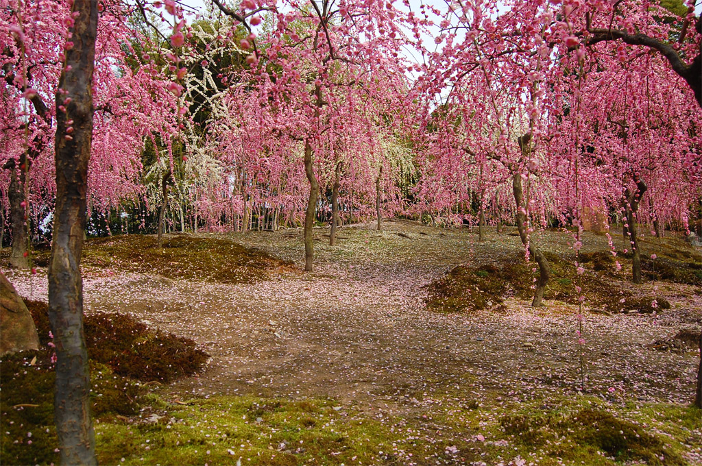 f:id:ReMIST:20191004213607j:plain f:id:ReMIST:20191004213607j:plain