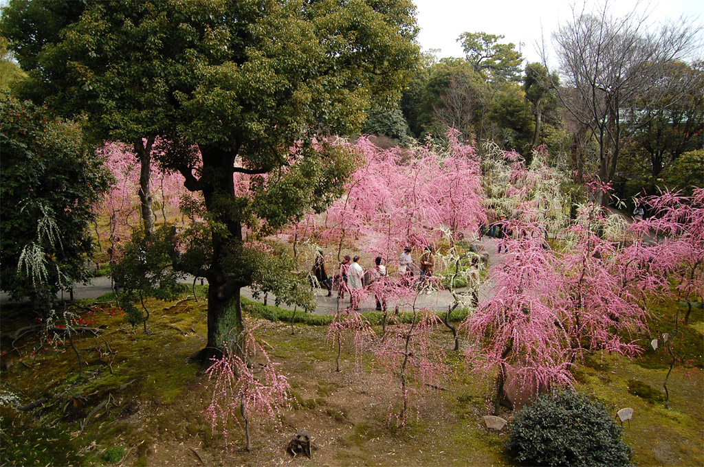 f:id:ReMIST:20191004214026j:plain f:id:ReMIST:20191004214026j:plain