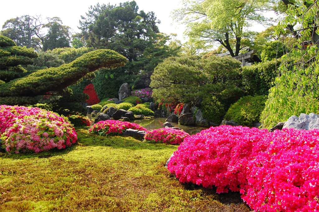 f:id:ReMIST:20191004220225j:plain f:id:ReMIST:20191004220225j:plain