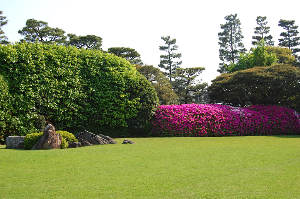 f:id:ReMIST:20191004221057j:plain f:id:ReMIST:20191004221057j:plain