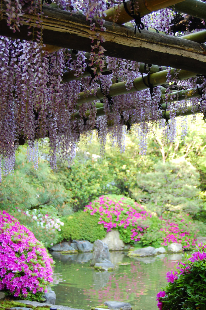 f:id:ReMIST:20191004221616j:plain f:id:ReMIST:20191004221616j:plain