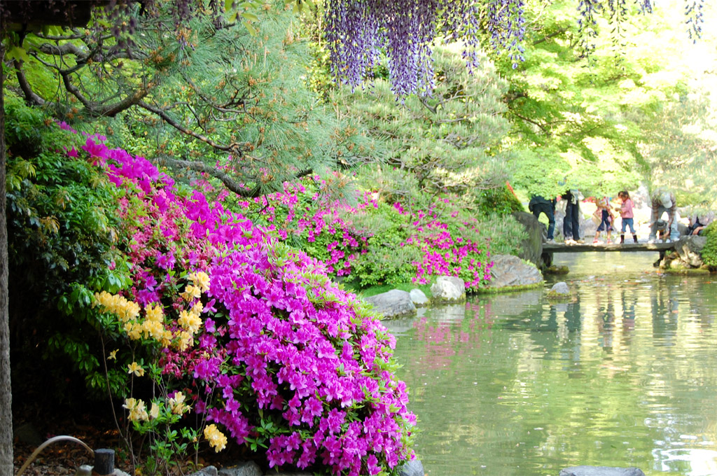 f:id:ReMIST:20191004221637j:plain f:id:ReMIST:20191004221637j:plain