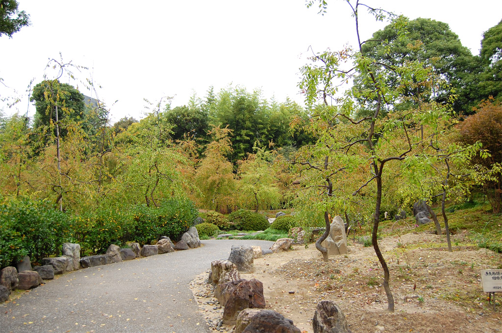 f:id:ReMIST:20191004222149j:plain f:id:ReMIST:20191004222149j:plain