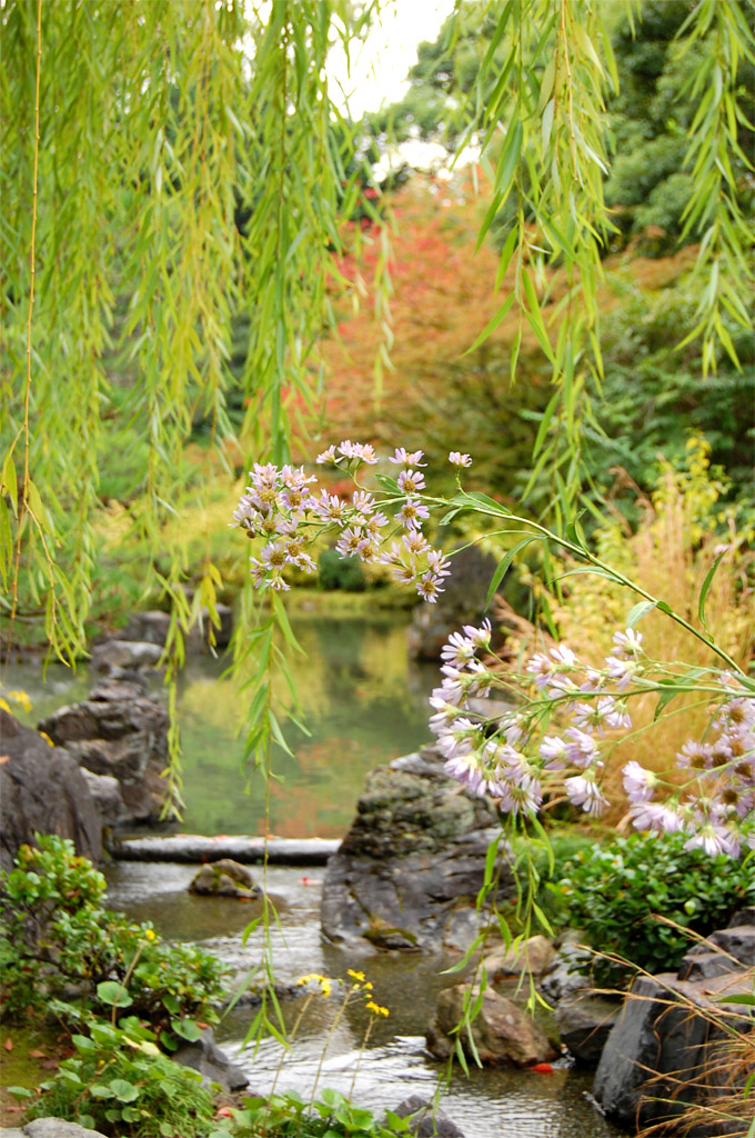 f:id:ReMIST:20191004222542j:plain f:id:ReMIST:20191004222542j:plain