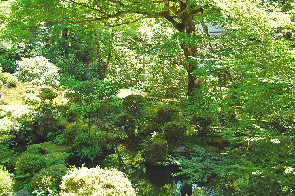 f:id:ReMIST:20191007072140j:plain f:id:ReMIST:20191007072140j:plain