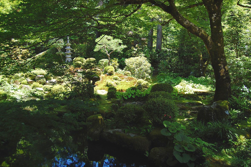 f:id:ReMIST:20191007072216j:plain f:id:ReMIST:20191007072216j:plain