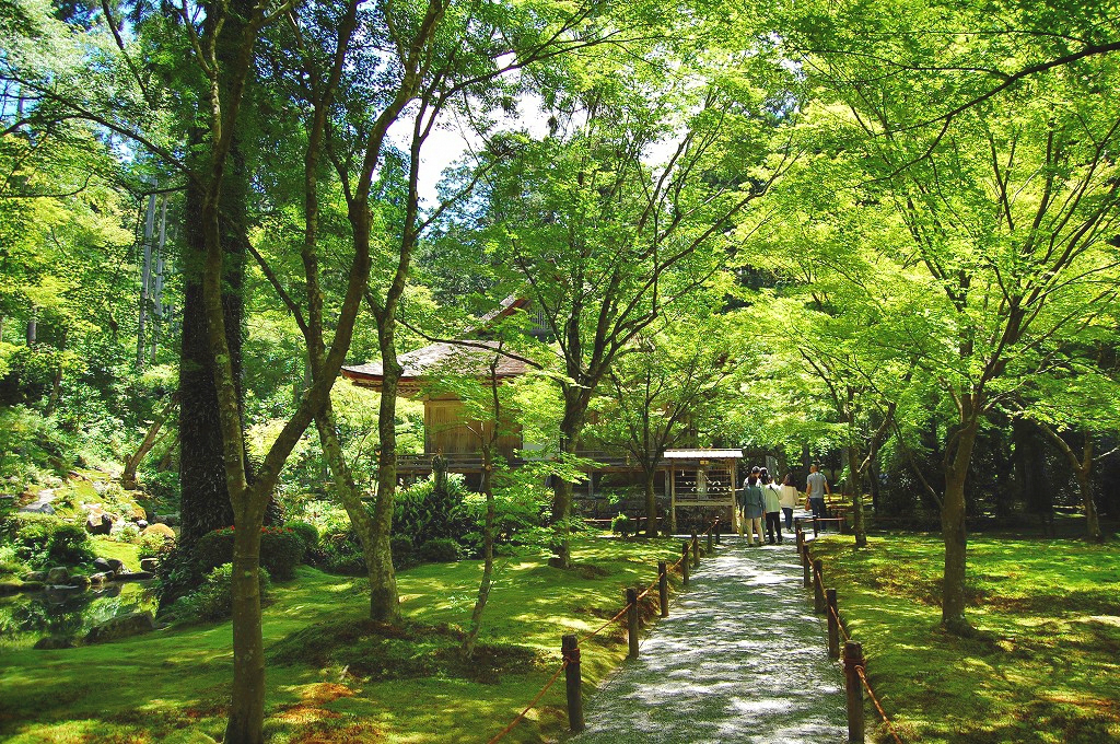 f:id:ReMIST:20191008110812j:plain f:id:ReMIST:20191008110812j:plain