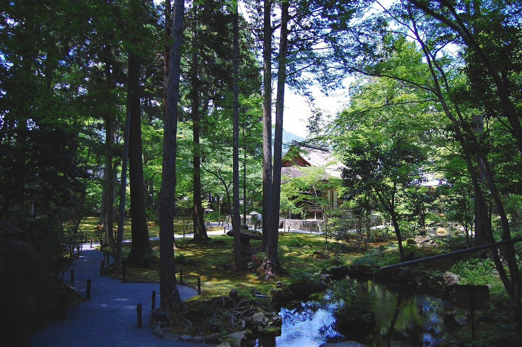 f:id:ReMIST:20191008111255j:plain f:id:ReMIST:20191008111255j:plain