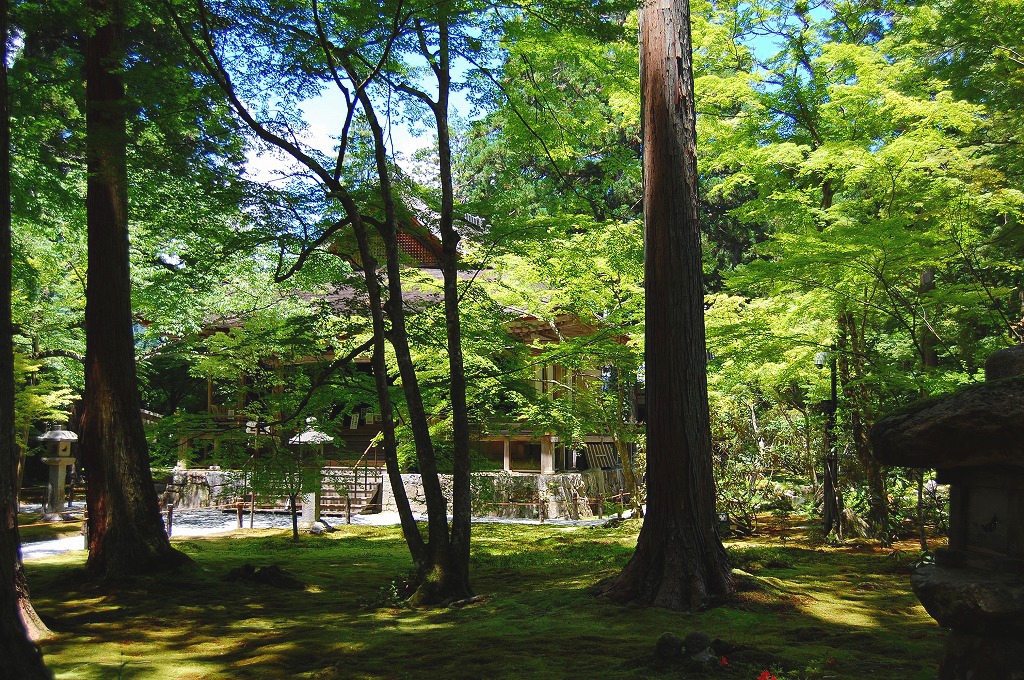 f:id:ReMIST:20191008115029j:plain f:id:ReMIST:20191008115029j:plain