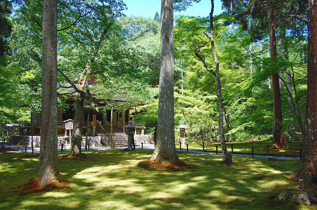 f:id:ReMIST:20191008121942j:plain f:id:ReMIST:20191008121942j:plain