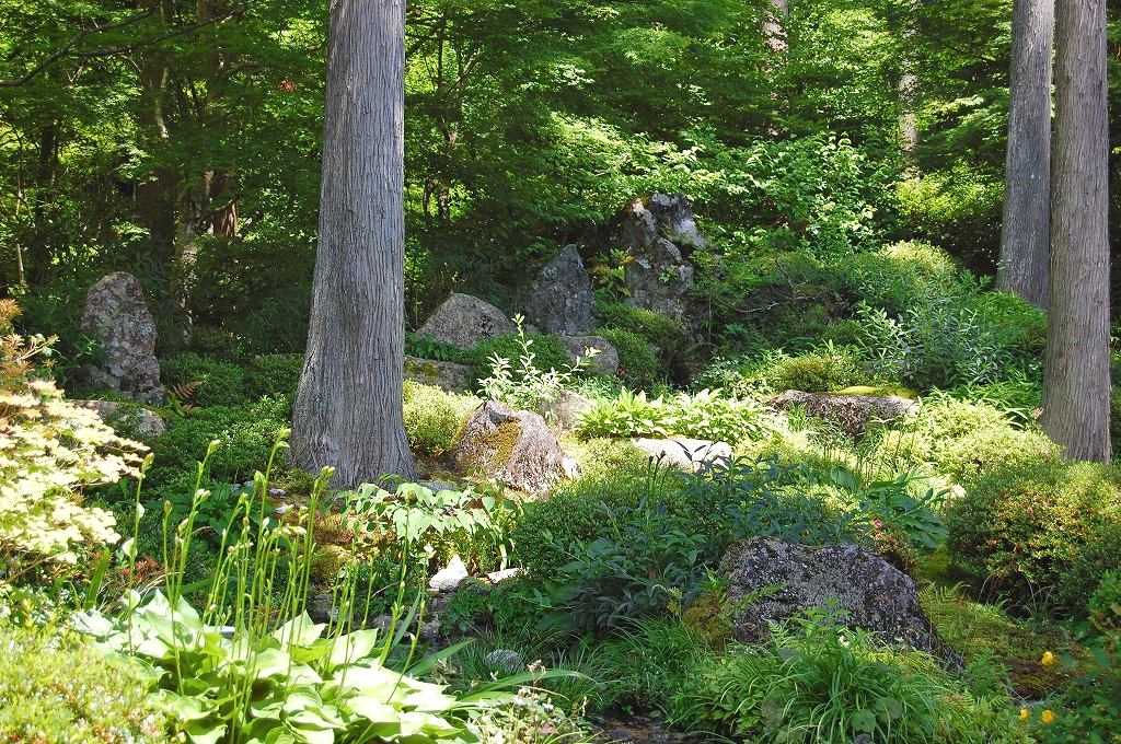 f:id:ReMIST:20191008123429j:plain f:id:ReMIST:20191008123429j:plain