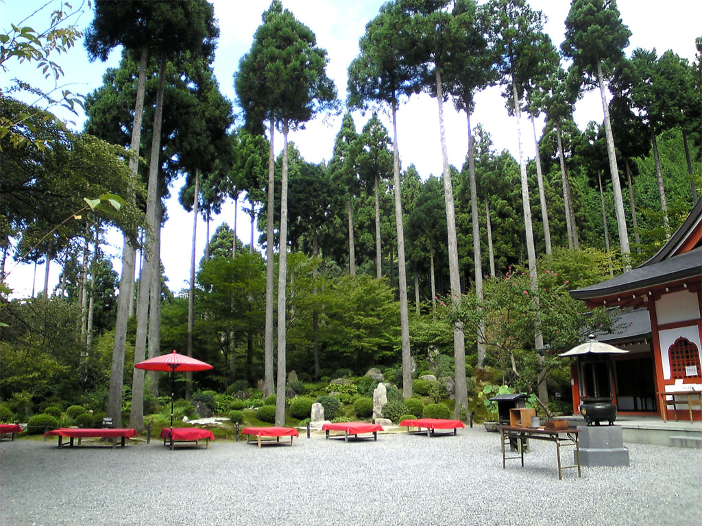 f:id:ReMIST:20191008134516j:plain f:id:ReMIST:20191008134516j:plain