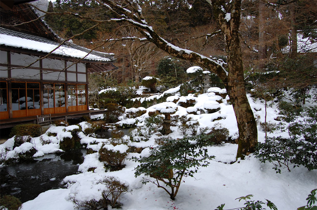 f:id:ReMIST:20191008141237j:plain f:id:ReMIST:20191008141237j:plain