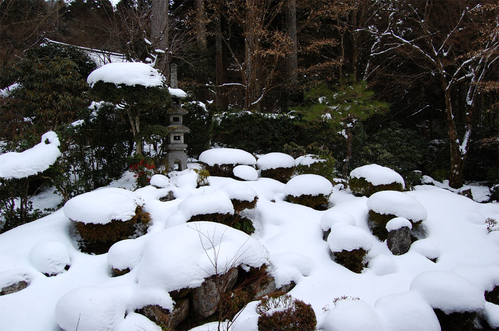 f:id:ReMIST:20191008141737j:plain f:id:ReMIST:20191008141737j:plain